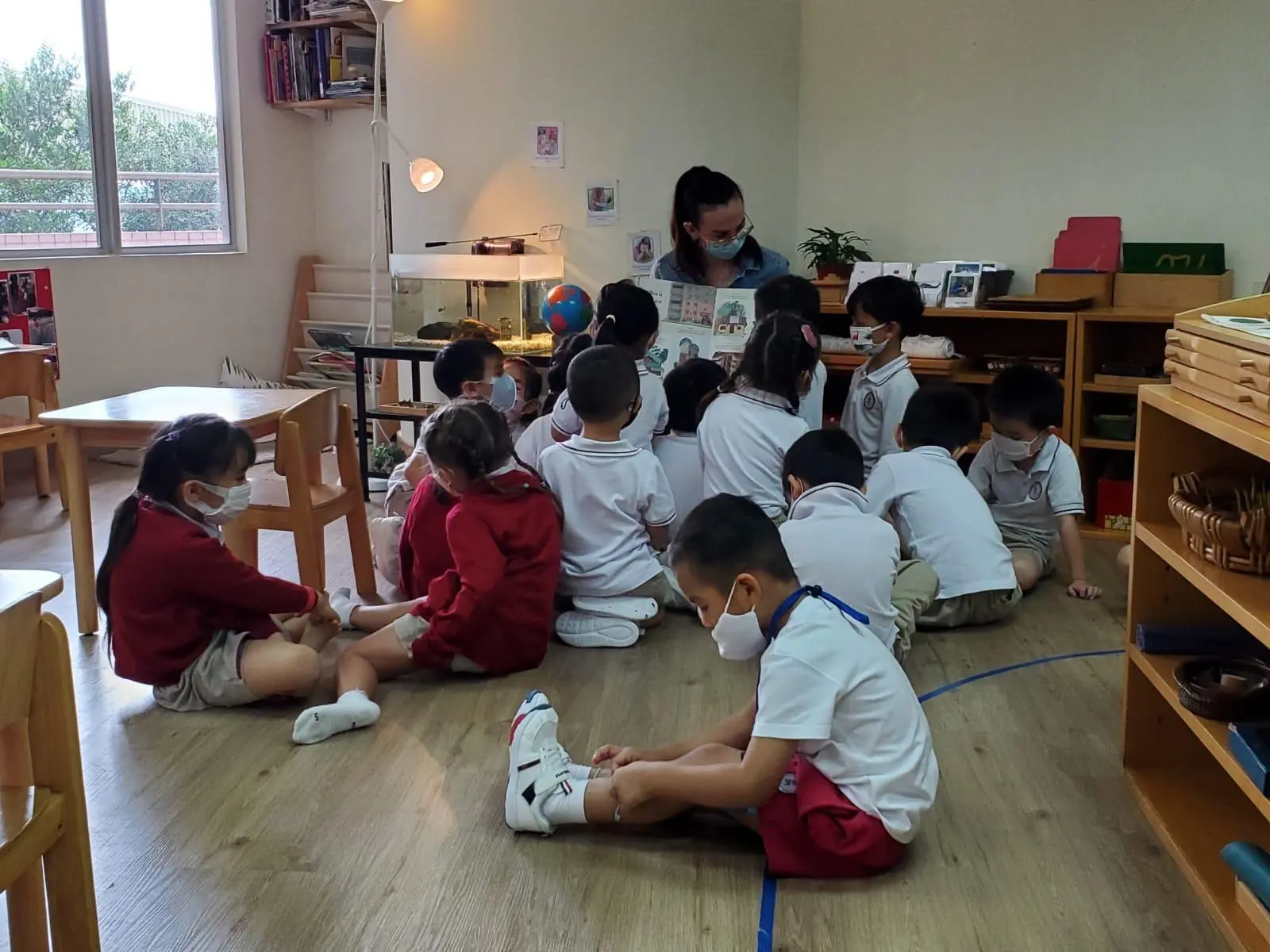 Evolve Sprouts 简史图片 1